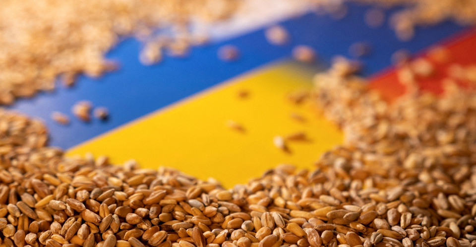 Турция хочет покупать у Украины зерно с большой скидкой 