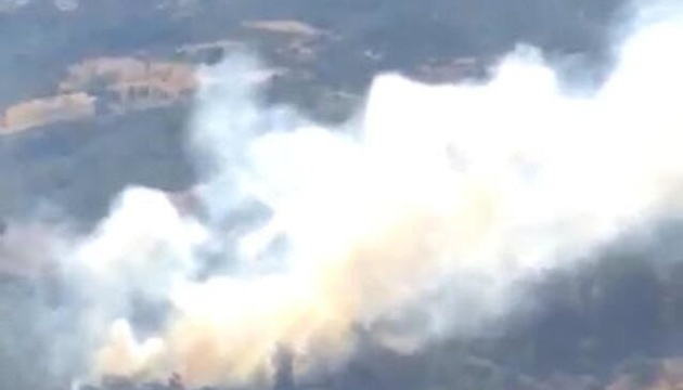 В Турции вспыхнул новый лесной пожар