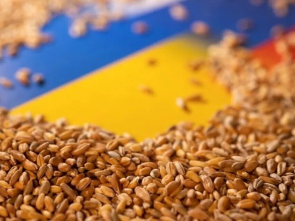 "Зерновой коридор": из украинских портов удалось вывезти около 375 тысяч тонн агропродукции