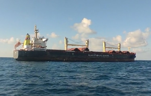 Караван с зерном из Украины: в Стамбул зашло второе судно