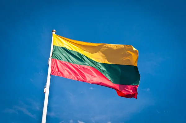 В Литве хотят лишать гражданства за поддержку России в войне против Украины 