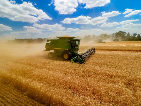 Жатва-2022: собрали уже 17,5 млн тонн зерна