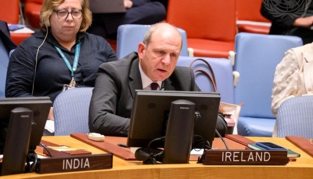 Ирландия призывает россию прекратить лгать в Совбезе ООН