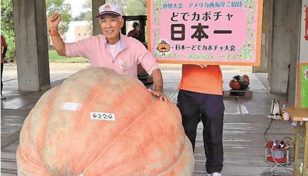 Тыква весом почти 430 килограмм стала победителем соревнований в Японии