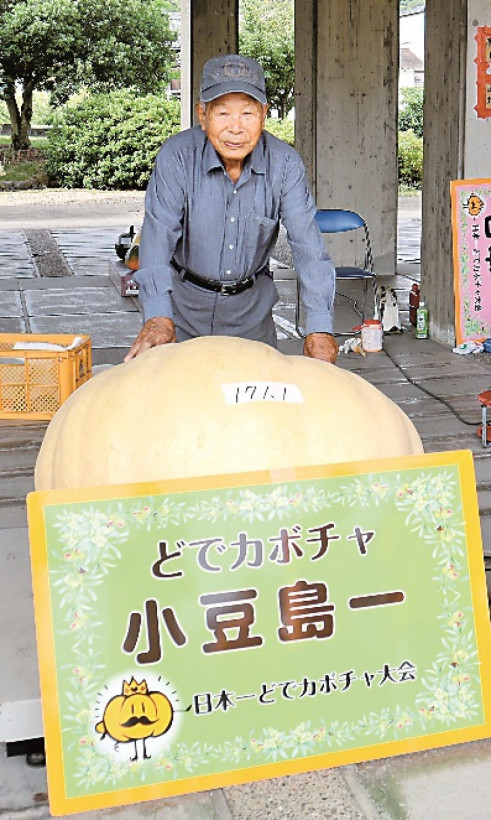 Тыква весом почти 430 килограмм стала победителем соревнований в Японии