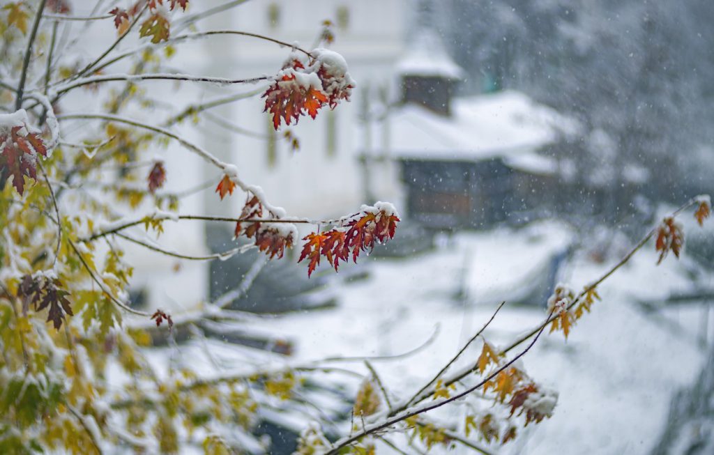 Снегопады могут накрыть Украину уже осенью: синоптики рассказали о погодных «сюрпризах» 