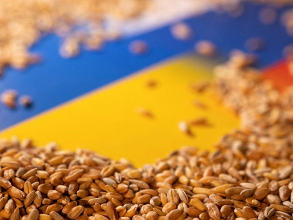 Украина рассказала о географии экспорта по "зерновому коридору": на Африку приходится 27% пшеницы