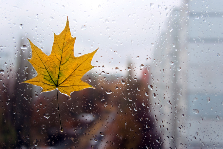Дождь и порывистый ветер: синоптик рассказала, что приготовила погода украинцам 27 октября