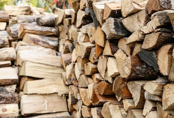 Правительство запретило экспорт дров