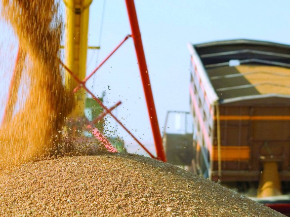 Экспорт украинского зерна в ноябре превысил 3 млн тонн