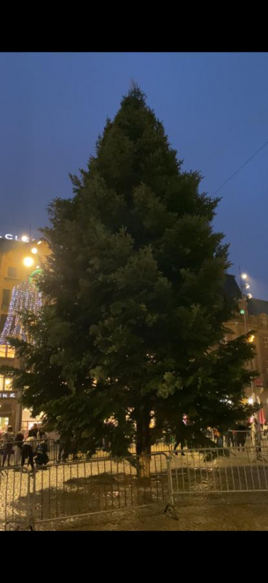 В Нидерландах в знак солидарности с Украиной выключили рождественские огни