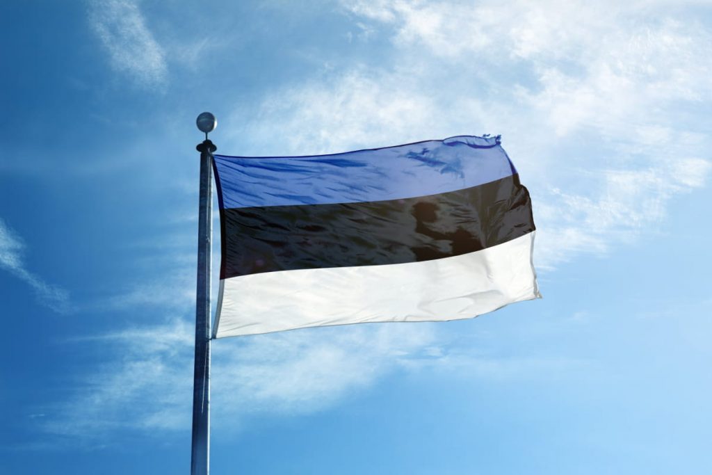 Эстония выделила новый пакет военной помощи Украине