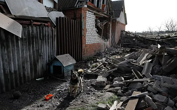 В Белгородской области заявили об «обстреле» села