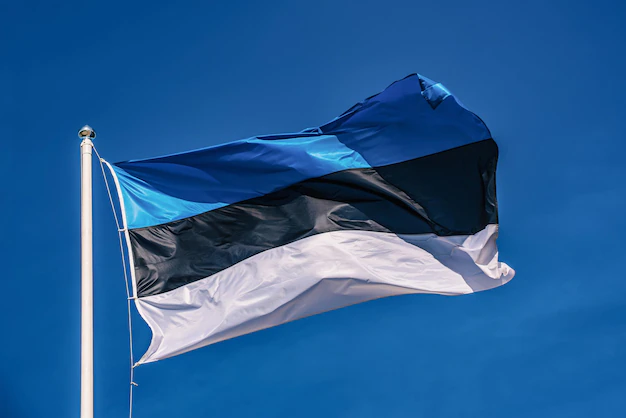 Эстония объявила о новом рекордном пакете военной помощи Украине