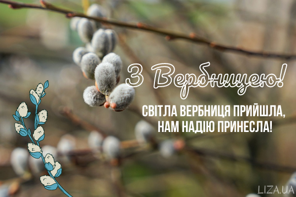 Вербна неділя: гарні привітання у віршках, картинках та прозі