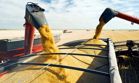 Венгрия установит контроль за украинским импортом зерна