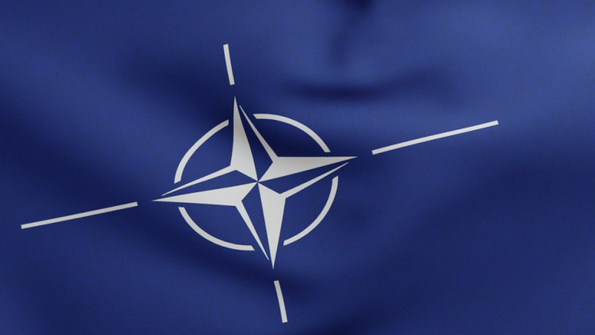 Nato has. НАТО. НАТО оборонительный Альянс. Страны НАТО. Италия НАТО.