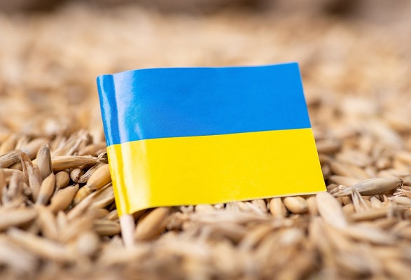 Еврокомиссия еще не приняла решение о продлении запрета на агроимпорт из Украины