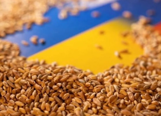 Еврокомиссия продлила запрет на импорт агропродукции из Украины - СМИ