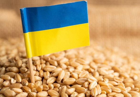 Польский бизнес заинтересован в поставках продовольствия из Украины - эксперт ВАС