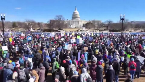 Почему в США проходят протесты против Трампа и чего хотят участники акций