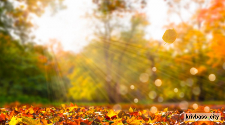 Прогноз погоды в Украине на 22–23 ноября: осадки на Западе, туманы на Севере, влажная погода в Центре и более тёплые условия на Юге и Востоке.