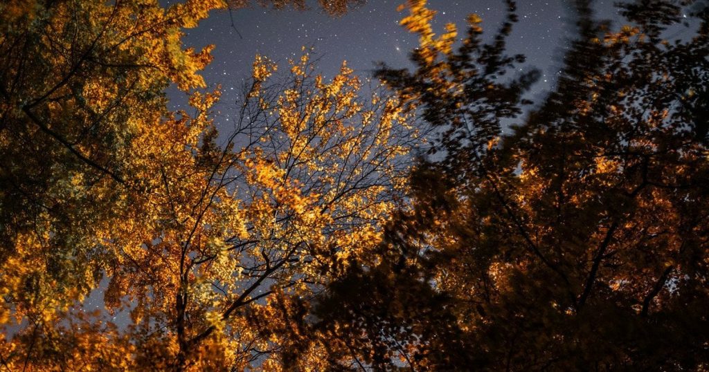 Синоптики рассказали, какой будет погода в Украине 1–2 ноября: где ожидается тепло, а где — ветер до 20 м/с и небольшой дождь.