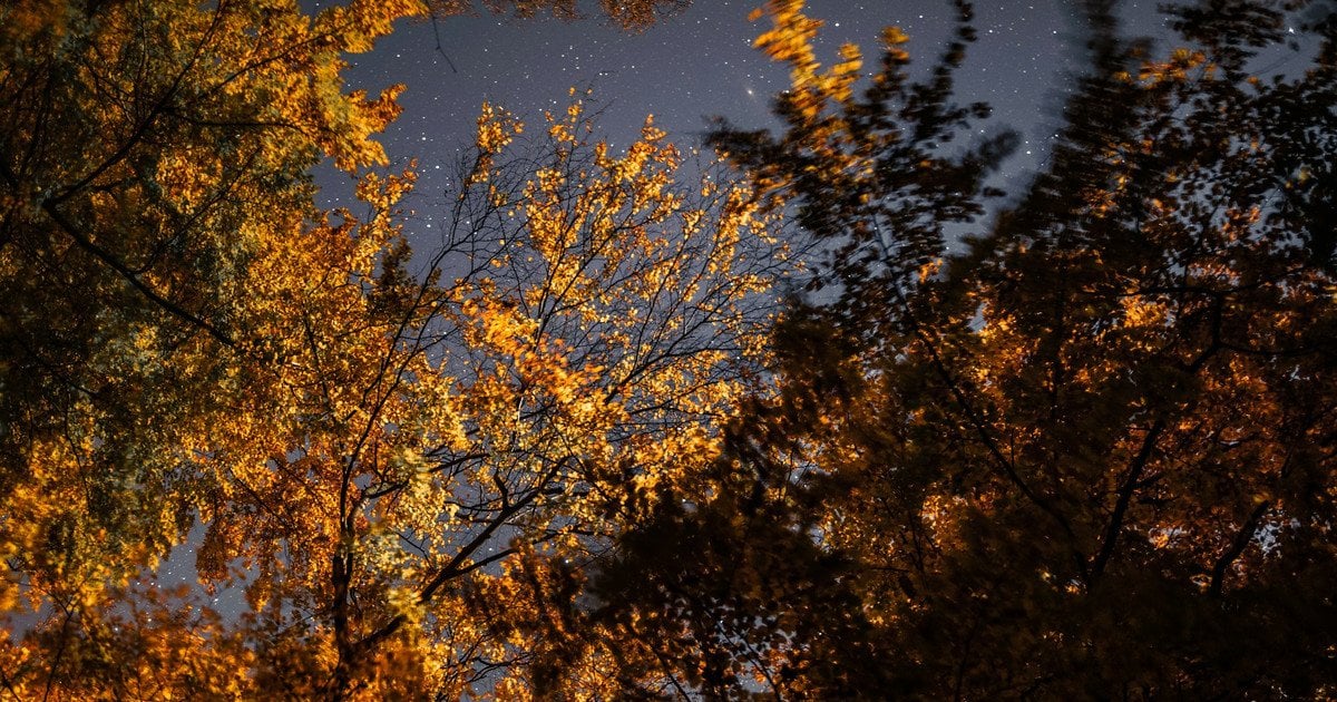 Синоптики рассказали, какой будет погода в Украине 1–2 ноября: где ожидается тепло, а где — ветер до 20 м/с и небольшой дождь.