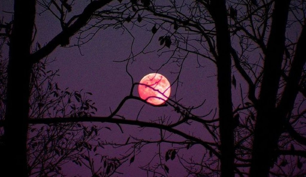 Лунный гороскоп на 13 марта 2026: фаза Луны, влияние на знаки зодиака и практические советы для успеха и продуктивного дня.