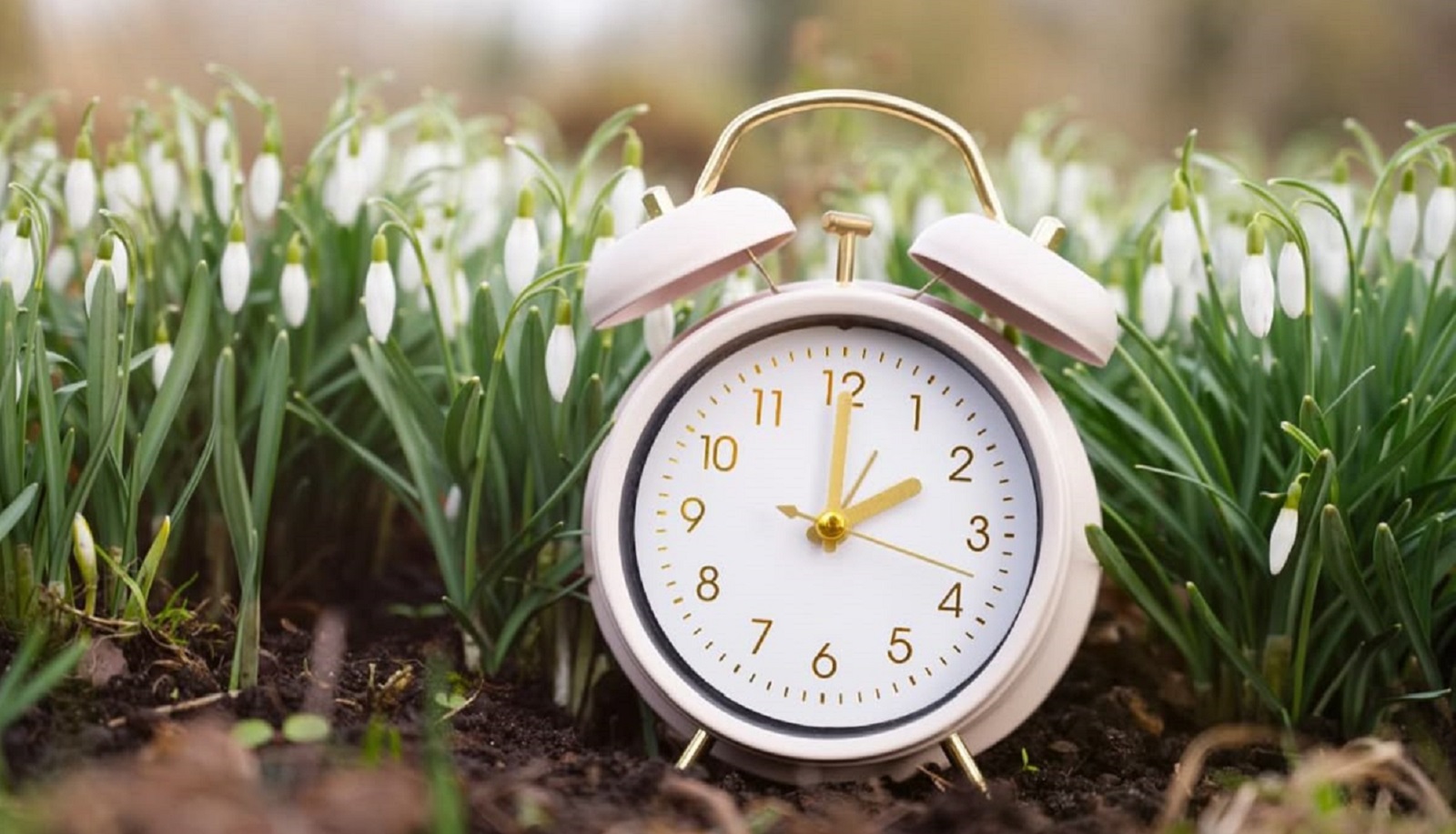 Когда переводят часы на летнее время в 2026 году в Украине: точная дата, на сколько изменится время и могут ли отменить сезонный перевод часов.